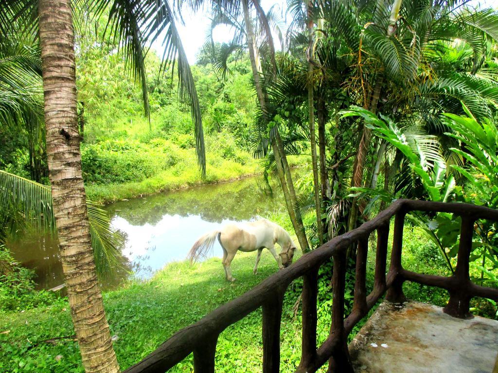 Happiness Resort Ban Klong Haeng Ngoại thất bức ảnh