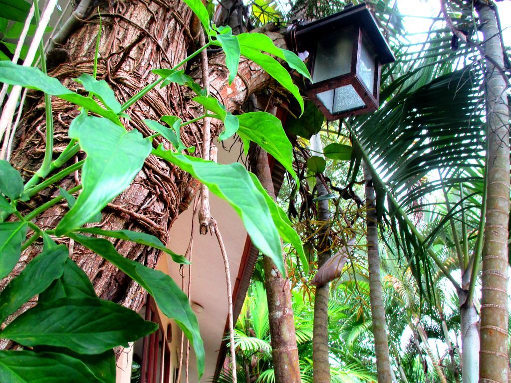 Happiness Resort Ban Klong Haeng Ngoại thất bức ảnh